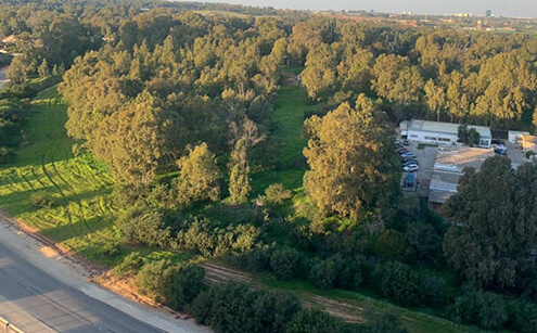 תוספת של 13 אלף דירות ל"עיר העתיד" בתעש השרון